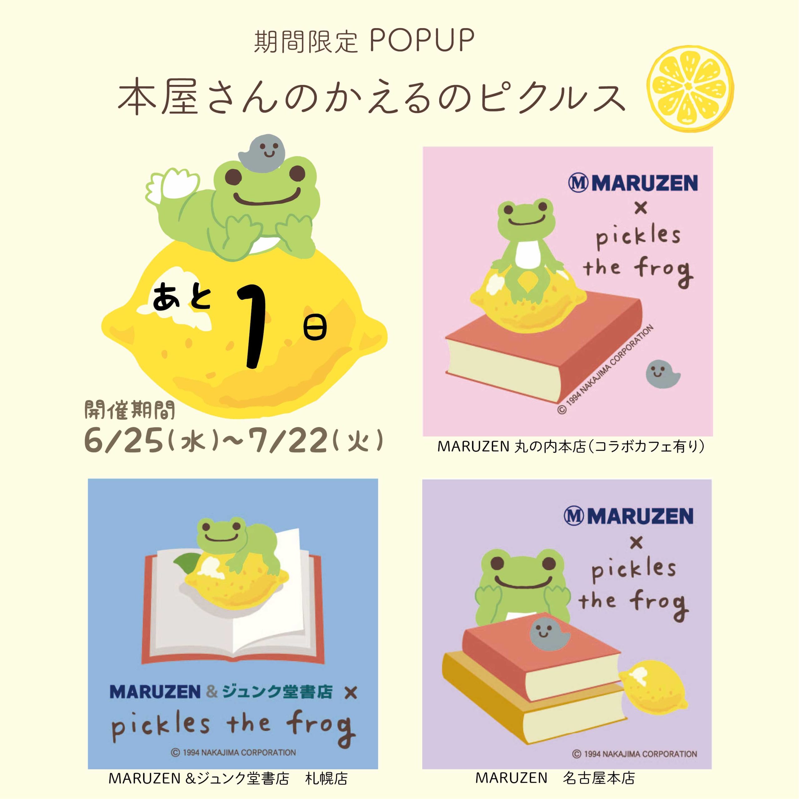 新規購入 かえるのピクルス pickles home ぬいぐるみ