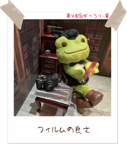 かえるのピクルスぬいぐるみ ぬいぐるみ 特大 かえるのピクルス ベーシック ピクルス 大きめ